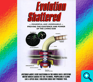Evolution Shattered